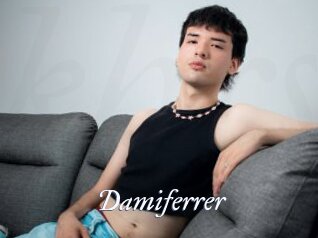 Damiferrer