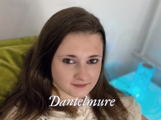 Dantelmure