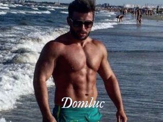 Domluc