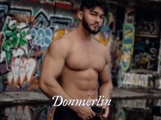 Donmerlin