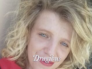 Dragibus