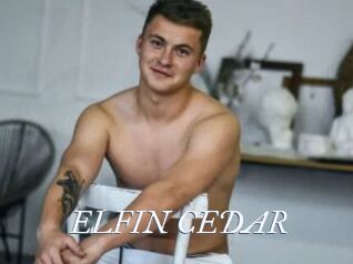 ELFIN_CEDAR