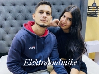 Elektraandmike