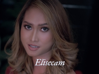 Elisecam