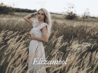 Elizamool