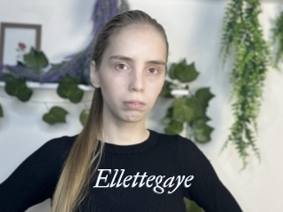 Ellettegaye