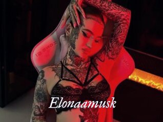 Elonaamusk