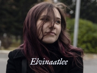 Elvinaatlee