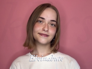 Elvinabute