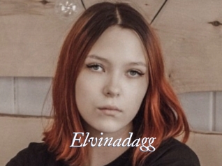 Elvinadagg