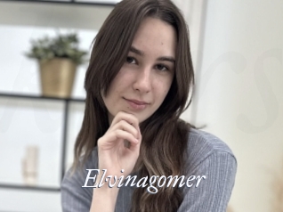 Elvinagomer