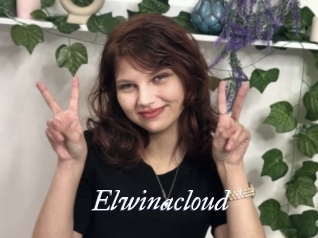 Elwinacloud