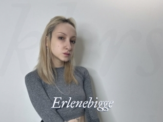 Erlenebigge