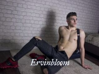 Ervinbloom