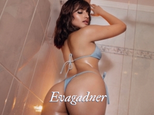 Evagadner