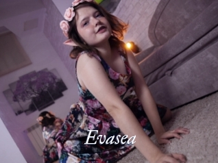 Evasea