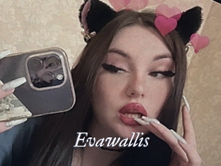 Evawallis