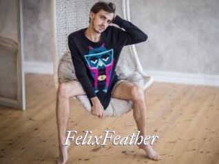 FelixFeather