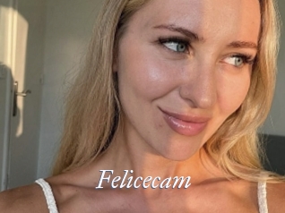 Felicecam