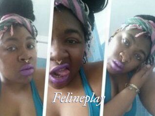 Felineplay