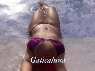 Gaticaluna