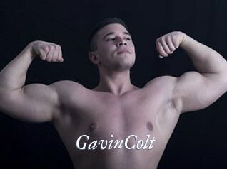 GavinColt