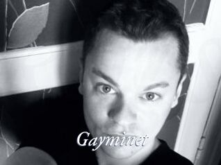 Gayminet