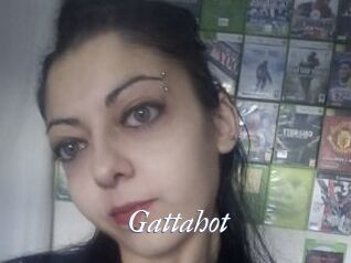 Gattahot
