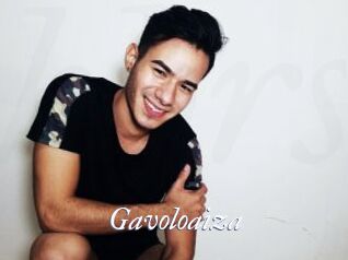 Gavoloaiza