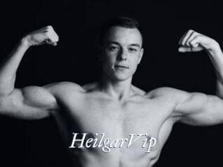 HeilgarVip