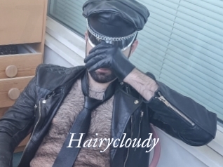 Hairycloudy