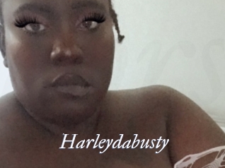 Harleydabusty