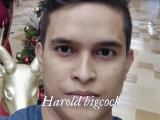 Harold_bigcock