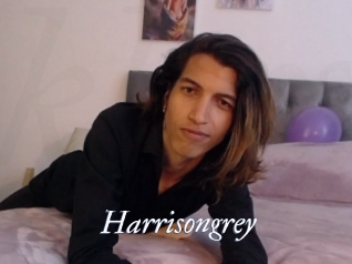 Harrisongrey