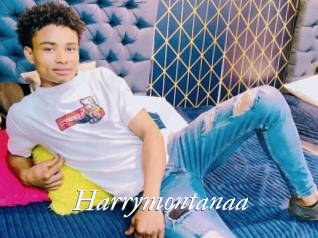 Harrymontanaa