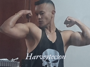 Harveytecson