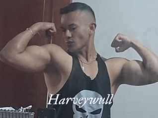 Harveywull