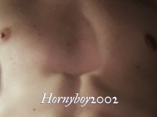 Hornyboy2002