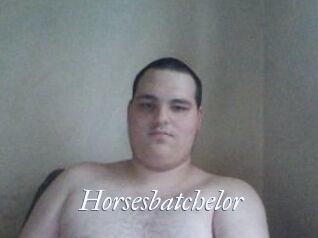 Horsesbatchelor