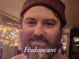 Hudsoncane