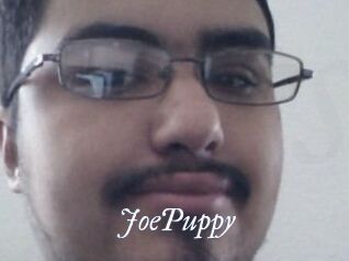 JoePuppy