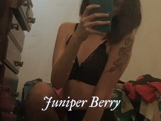 Juniper_Berry