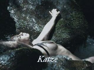 Katze