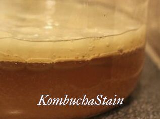 KombuchaStain
