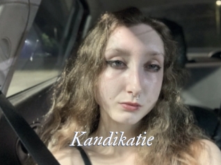 Kandikatie