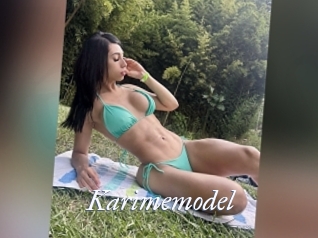 Karimemodel