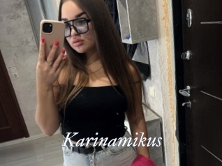 Karinamikus