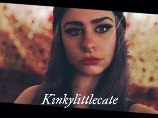 Kinkylittlecate