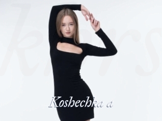 Koshechka_a