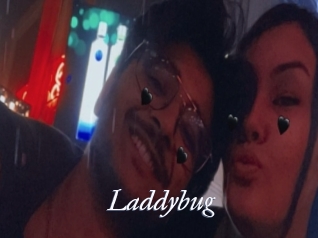 Laddybug